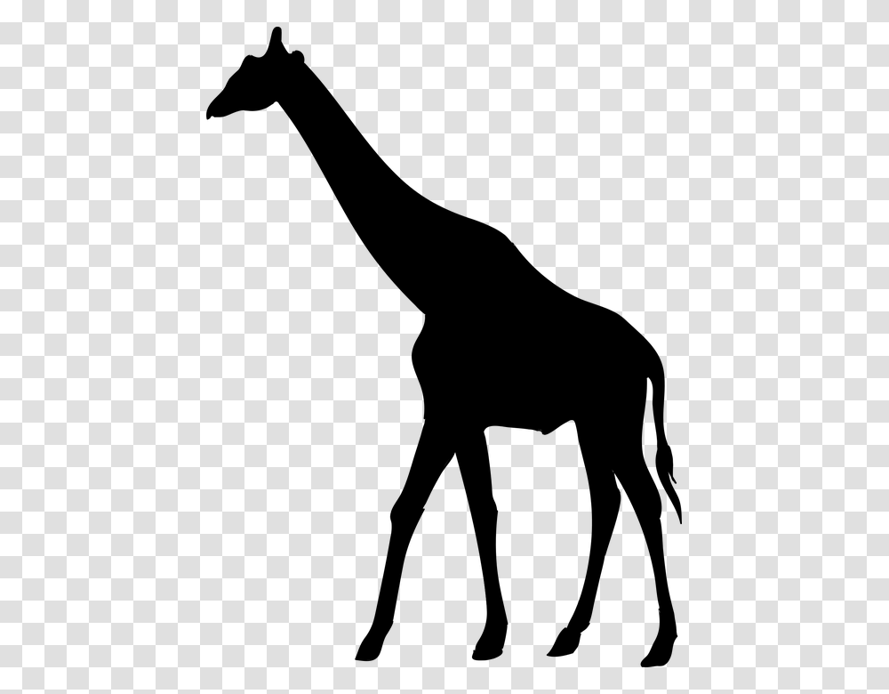 Clipart Giraffe Silhouette Clip Art Giraffe Silhouette Giraffe, Gray, World Of Warcraft Transparent Png