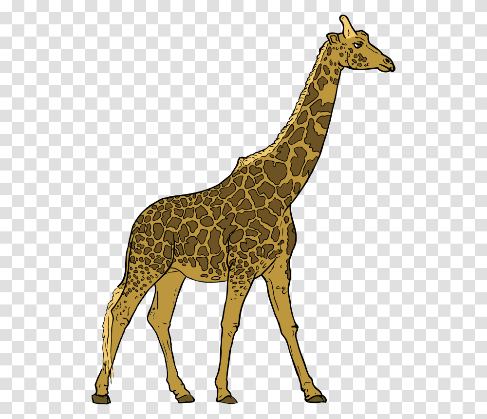 Clipart, Giraffe, Wildlife, Mammal, Animal Transparent Png