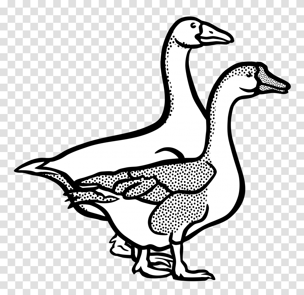 Clipart, Goose, Bird, Animal, Duck Transparent Png