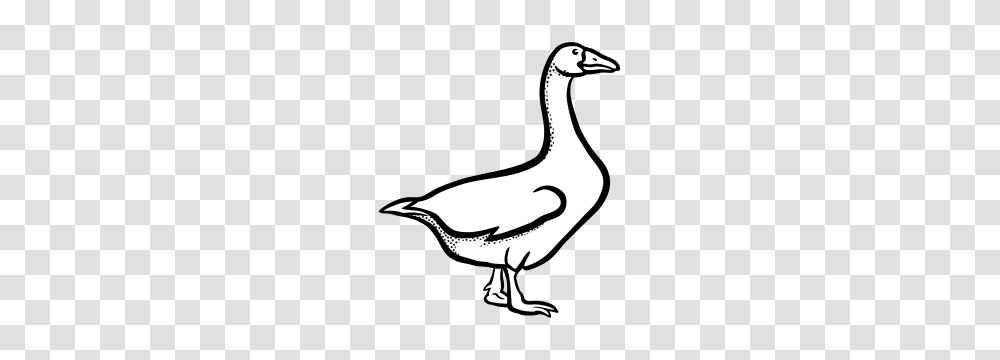 Clipart, Goose, Bird, Animal, Duck Transparent Png