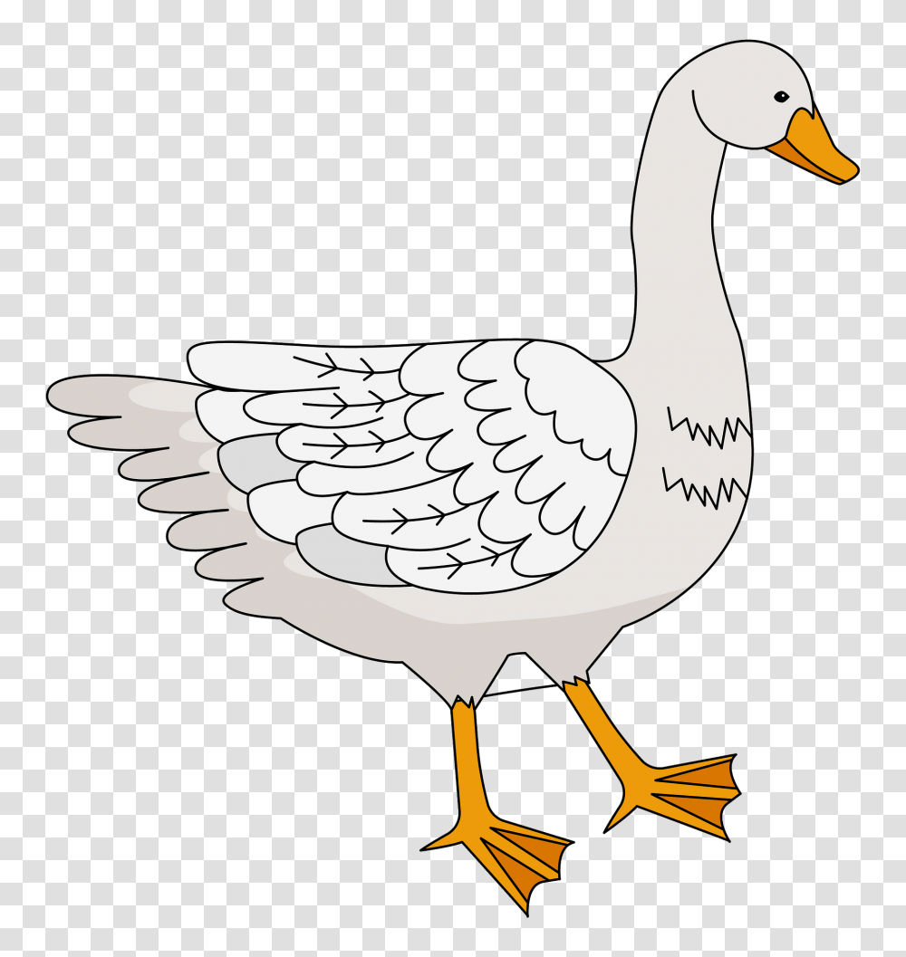 Clipart Goose Pictures Clip Art Of Goose, Bird, Animal, Waterfowl, Anseriformes Transparent Png
