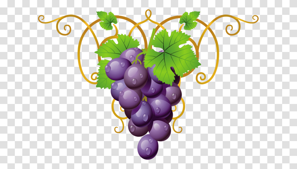Clipart Grape Vine Grapes Clipart, Plant, Fruit, Food, Blueberry Transparent Png