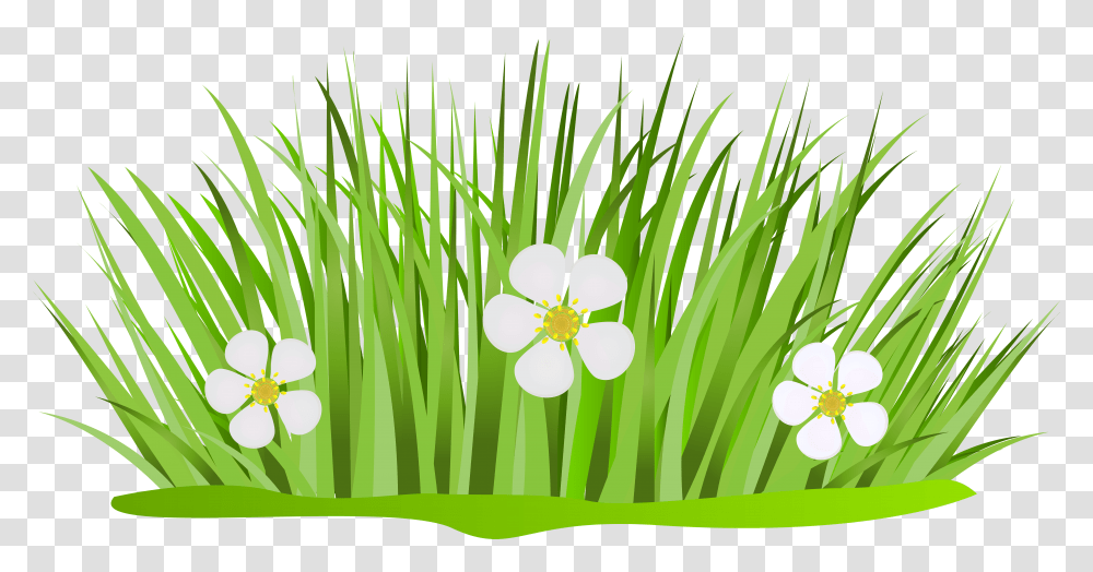 Clipart Grass Animated Clipart Grass And Flowers, Plant, Petal, Iris, Daffodil Transparent Png