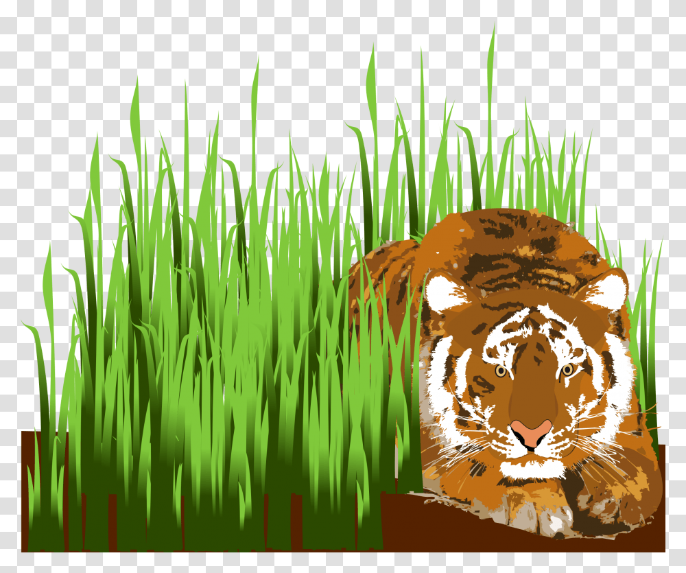 Clipart Grass Cartoon Tiger In Grass Clipart, Mammal, Animal, Wildlife, Beaver Transparent Png