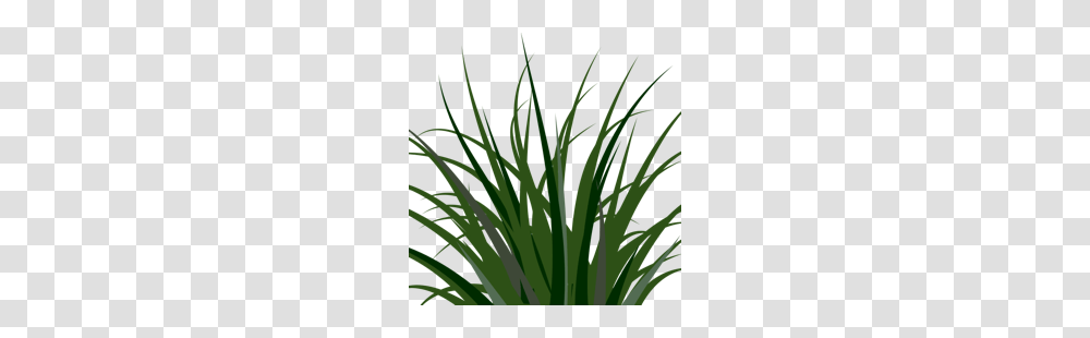 Clipart Grass Clumps Clip Art, Plant, Flower, Blossom, Iris Transparent Png