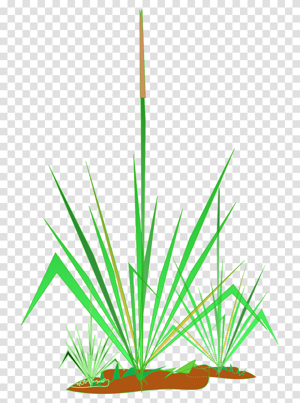Clipart, Grass, Plant, Nature, Outdoors Transparent Png