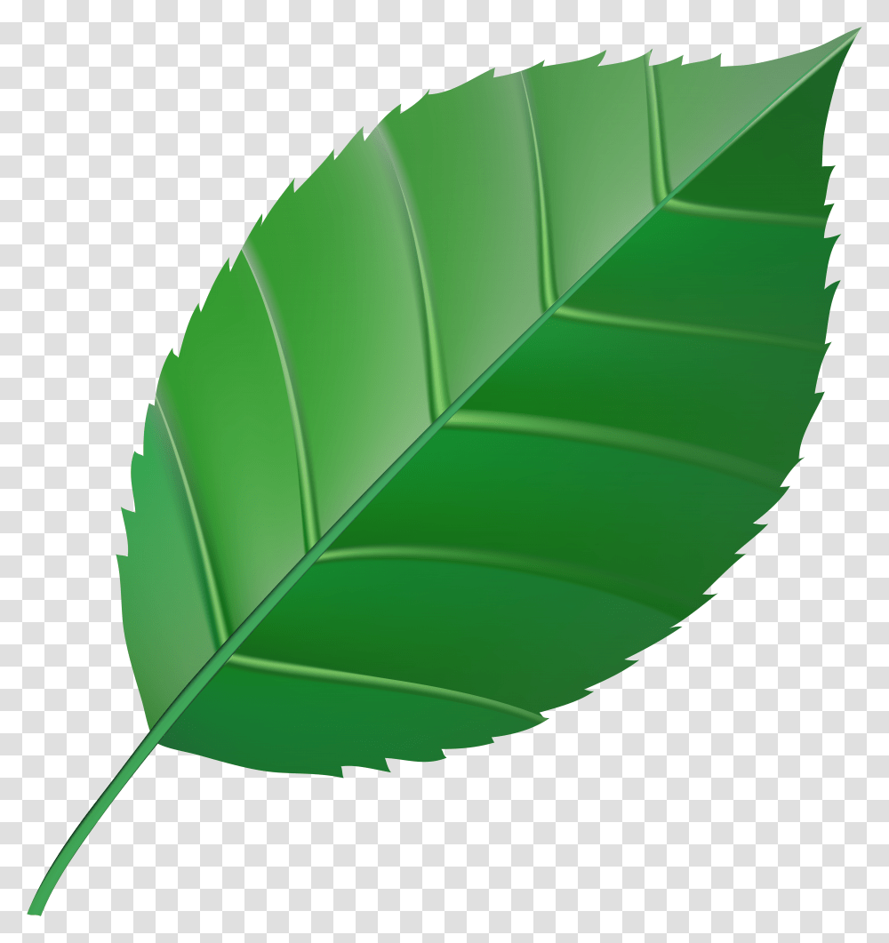 Clipart Green Leaf Background Transparent Png