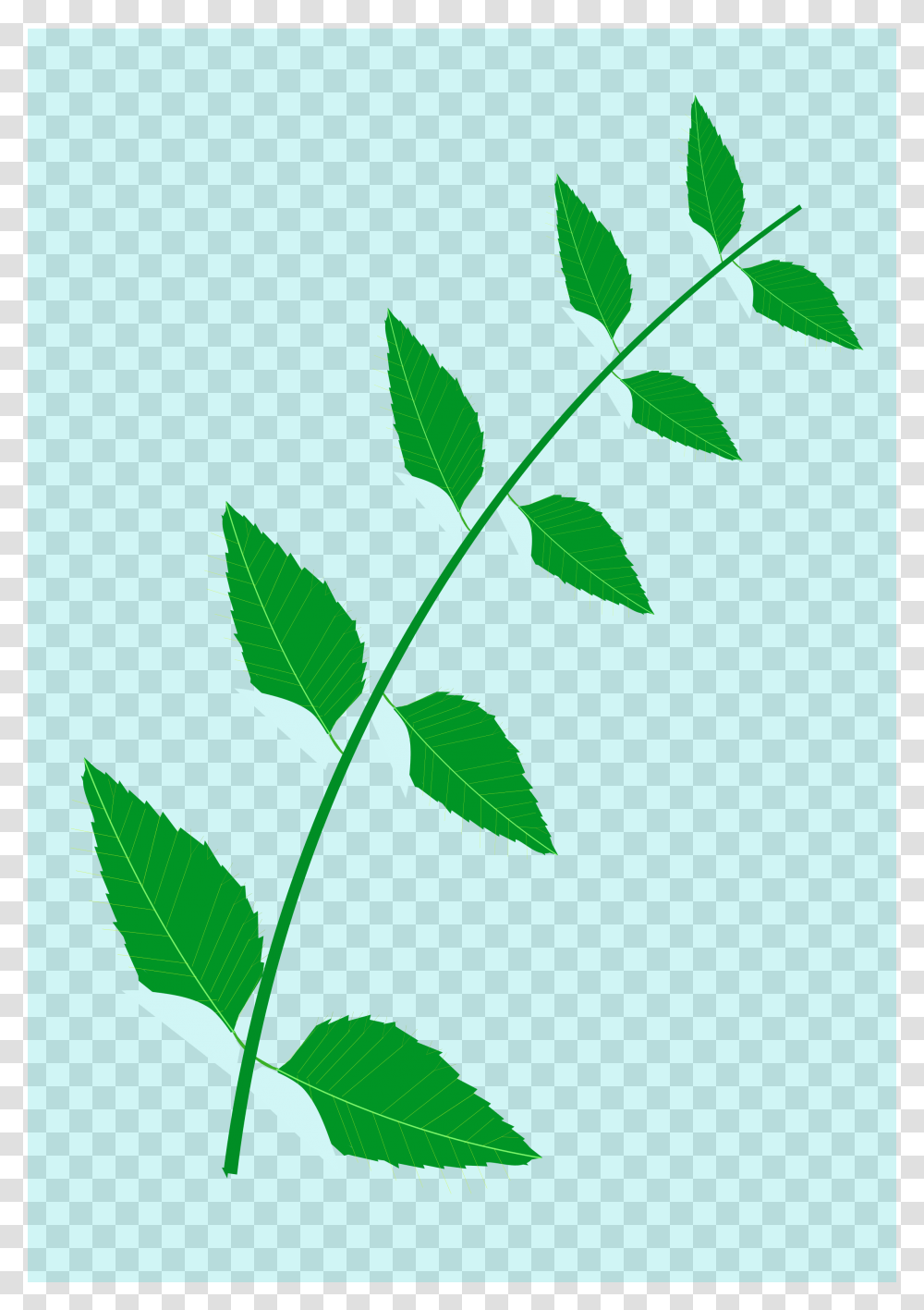 Clipart, Green, Leaf, Plant, Flower Transparent Png