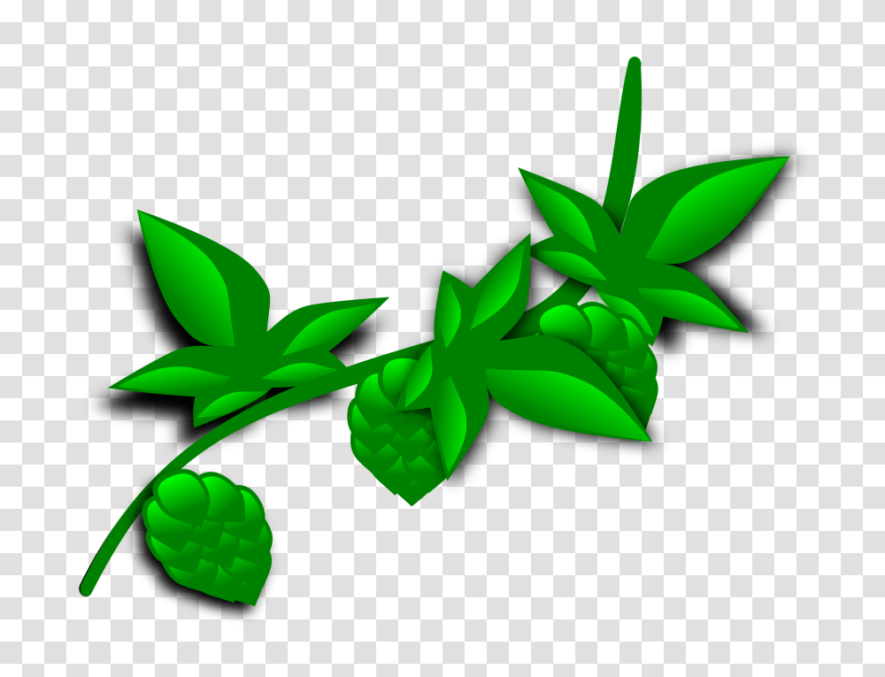 Clipart, Green, Plant, Leaf, Vase Transparent Png