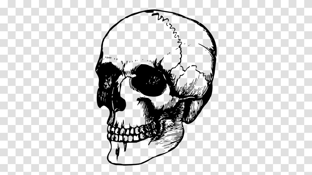 Clipart Human Head Outline, Gray, World Of Warcraft Transparent Png
