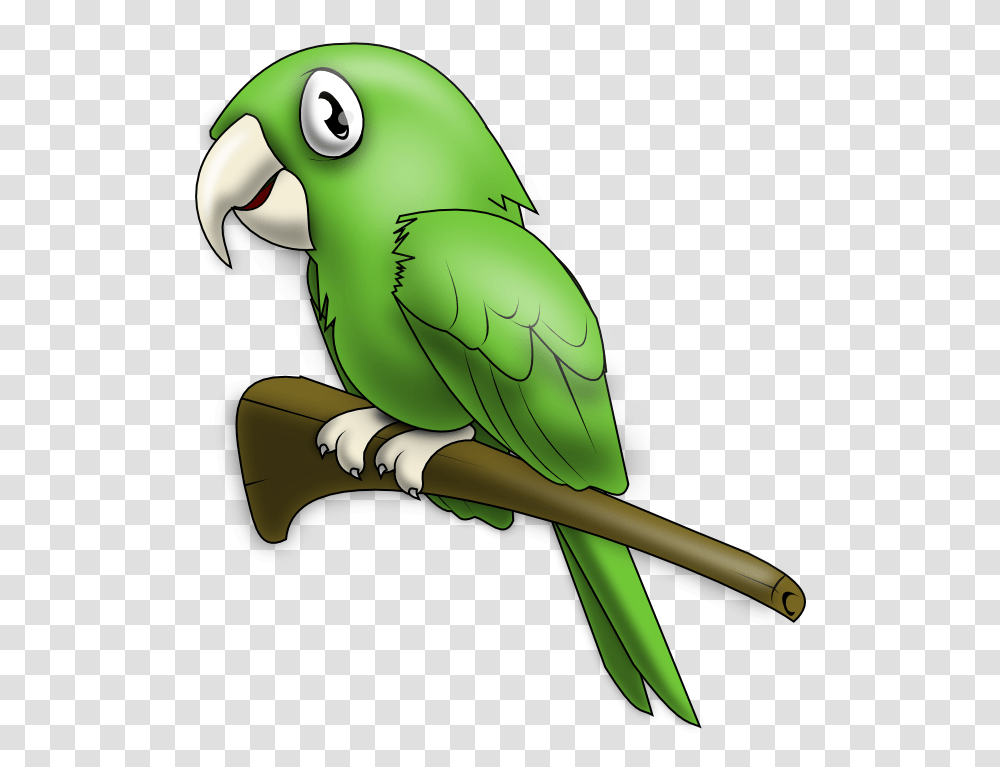 Clipart Iilustrations Clip Art, Animal, Bird, Parrot, Parakeet Transparent Png