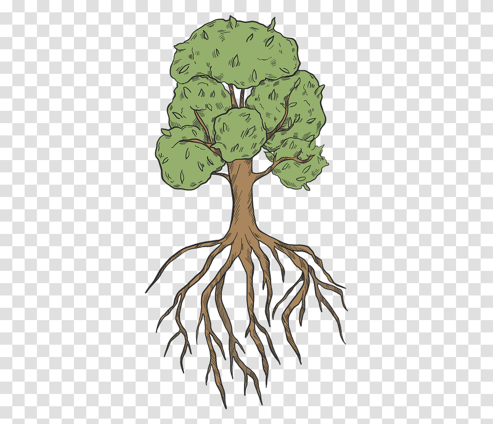 Clipart Illustration, Plant, Root, Person, Human Transparent Png