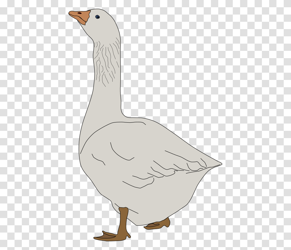 Clipart Image Goose Clipart, Bird, Animal, Duck Transparent Png