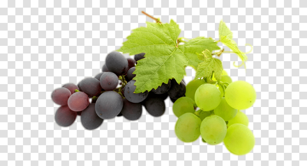 Clipart Image Grapes Black And Green Grapes Bunch, Plant, Fruit, Food, Vine Transparent Png