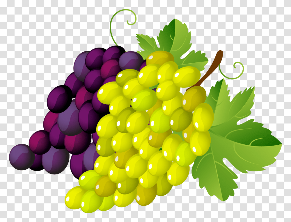 Clipart Image Grapes Clipart Green Grapes Clipart Background, Fruit, Plant, Food, Balloon Transparent Png