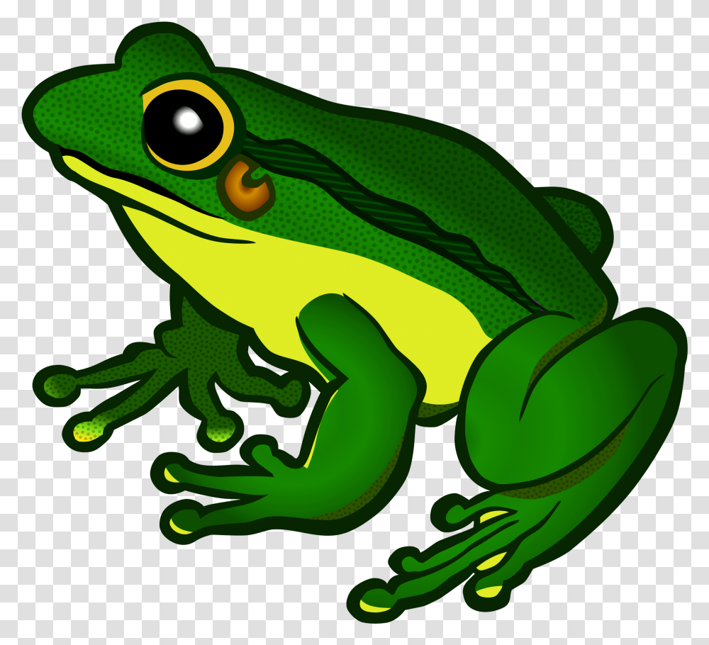 Clipart Image Of Frog, Amphibian, Wildlife, Animal, Tree Frog Transparent Png