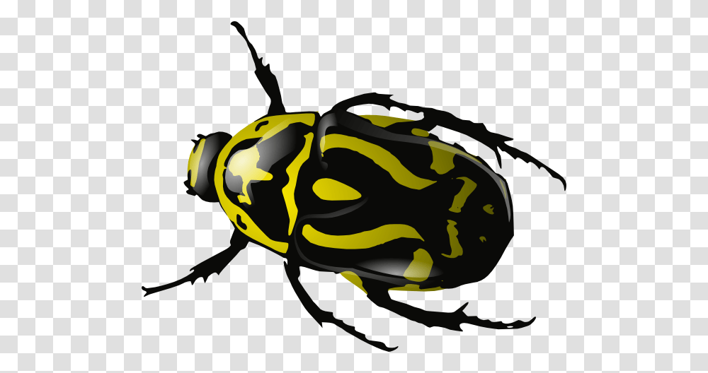 Clipart Insect, Animal, Invertebrate, Wasp, Bee Transparent Png