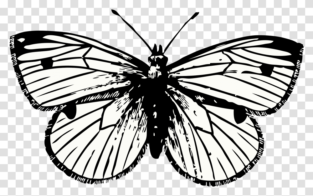 Clipart, Insect, Invertebrate, Animal, Butterfly Transparent Png