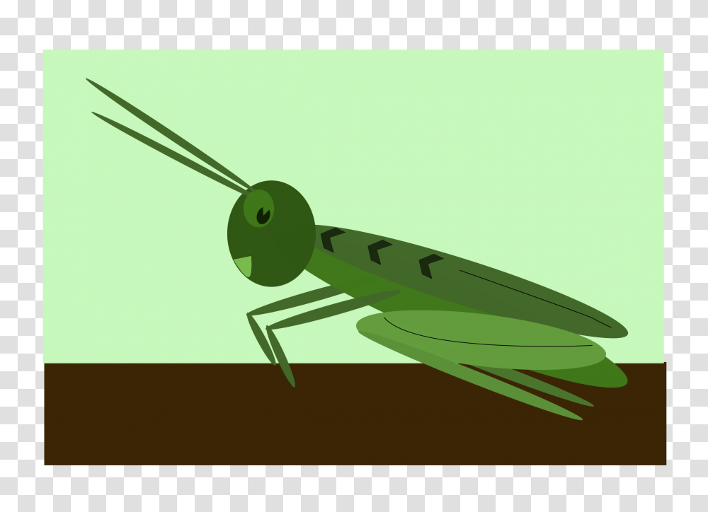 Clipart, Insect, Invertebrate, Animal, Mantis Transparent Png