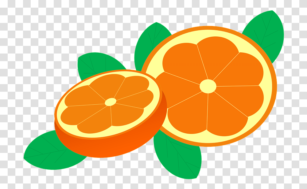 Clipart Jeruk Background Jeruk, Citrus Fruit, Plant, Food, Orange Transparent Png