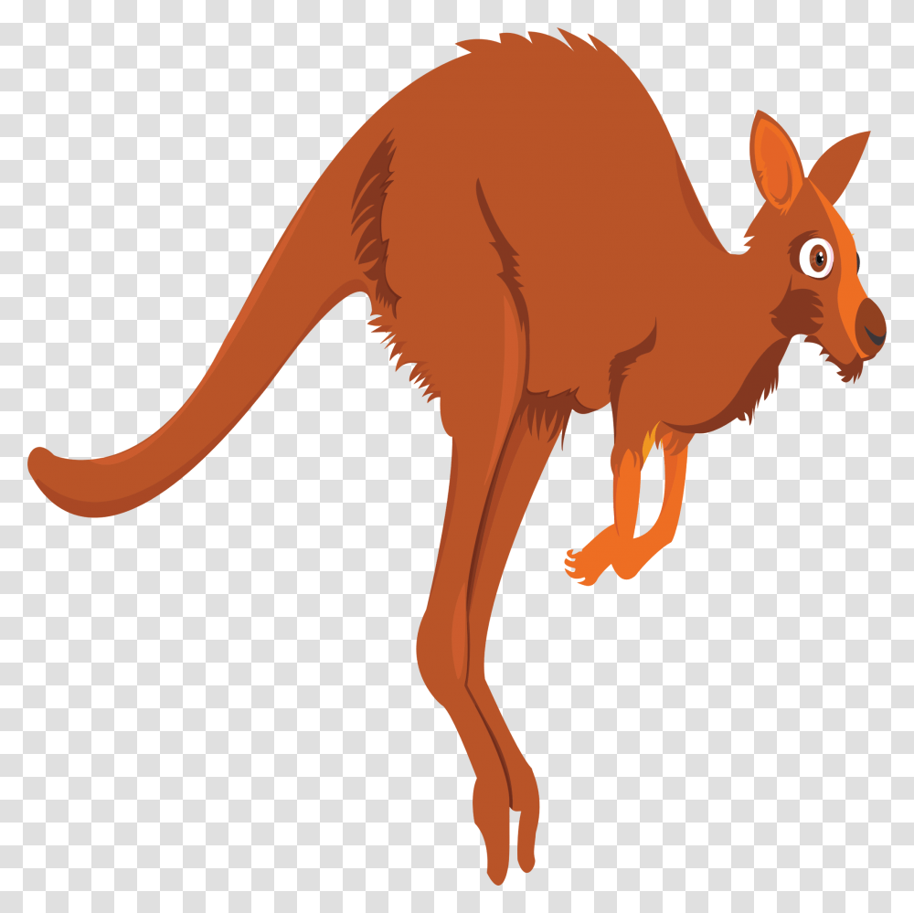Clipart, Kangaroo, Mammal, Animal, Wallaby Transparent Png