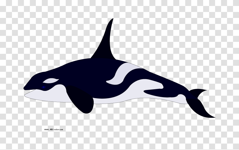 Clipart Killer Whale, Orca, Mammal, Sea Life, Animal Transparent Png