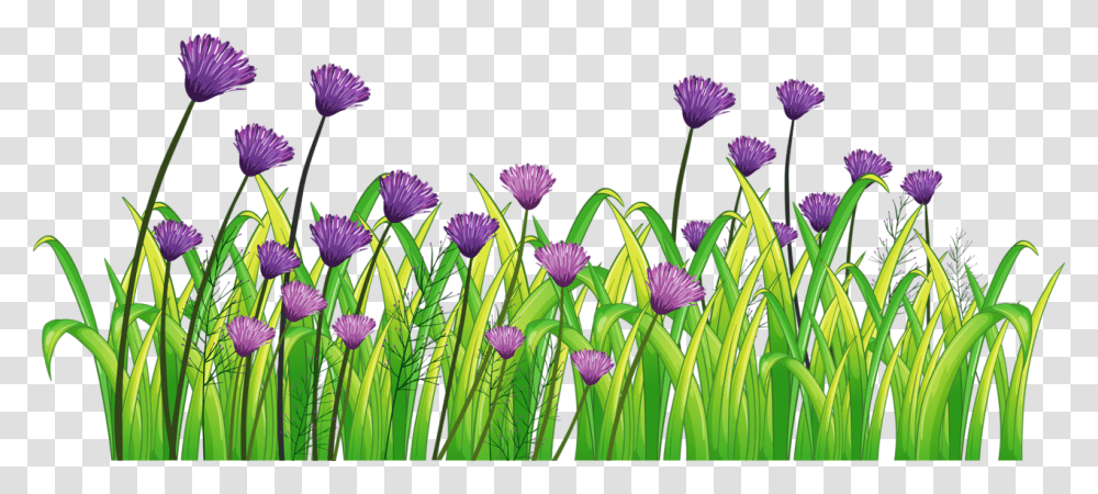 Clipart Landscape, Purple, Plant, Flower, Iris Transparent Png