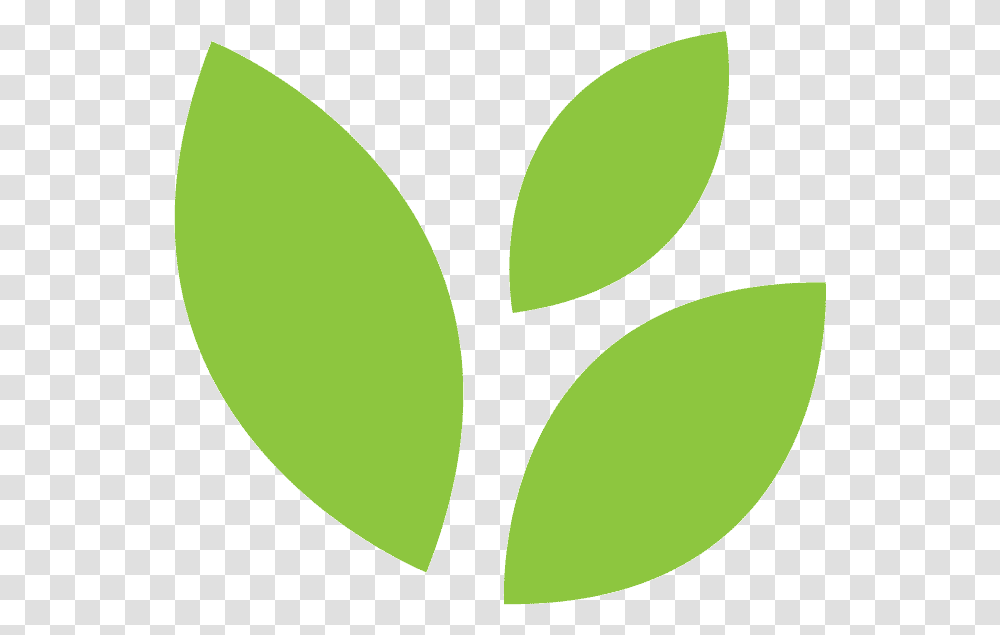 Clipart Leaf 0 0 Rainforest Journey Life Science Leaf Minimal, Green, Tennis Ball, Plant Transparent Png