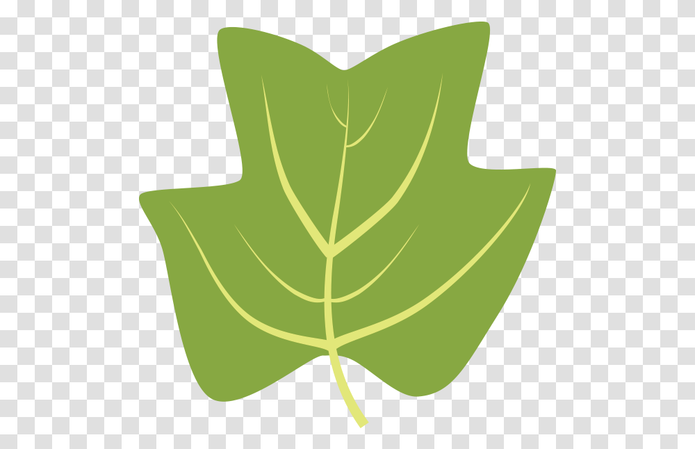 Clipart Leaf Hickory Tulip Tree Leaf Clipart, Plant, Maple Leaf Transparent Png