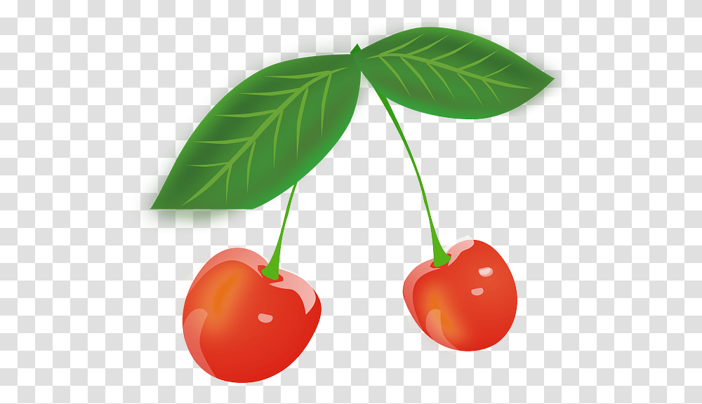 Clipart Leaf Pipal Cherry Leaves Clipart, Plant, Fruit, Food Transparent Png