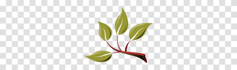 Clipart, Leaf, Plant, Annonaceae, Tree Transparent Png