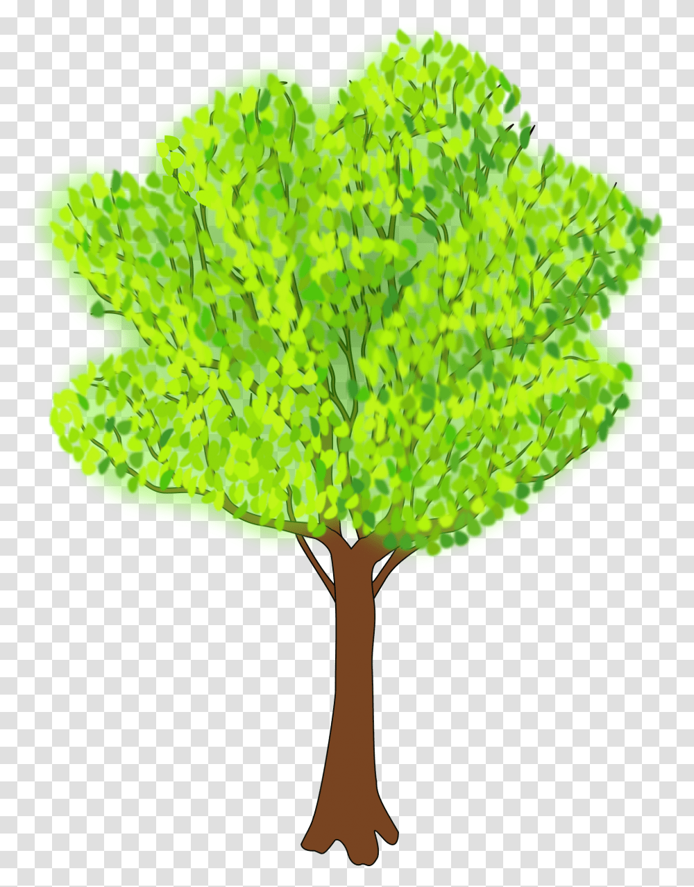 Clipart, Leaf, Plant, Fungus, Tree Transparent Png