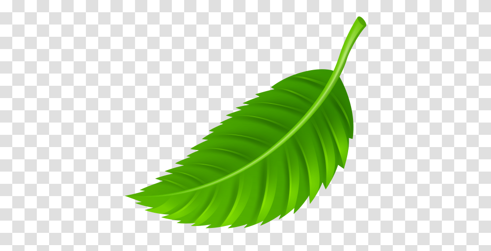Clipart Leaf, Plant, Green, Silhouette, Fern Transparent Png