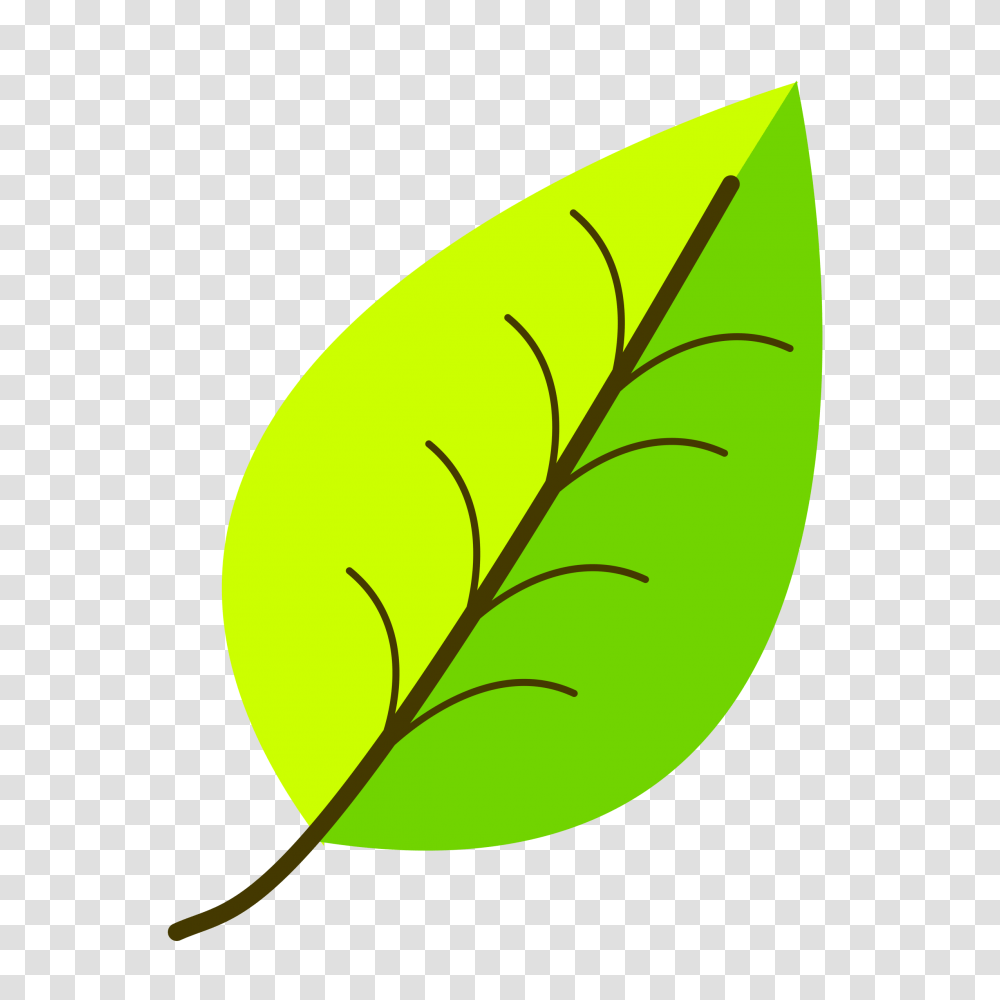 Clipart, Leaf, Plant, Green, Tennis Ball Transparent Png