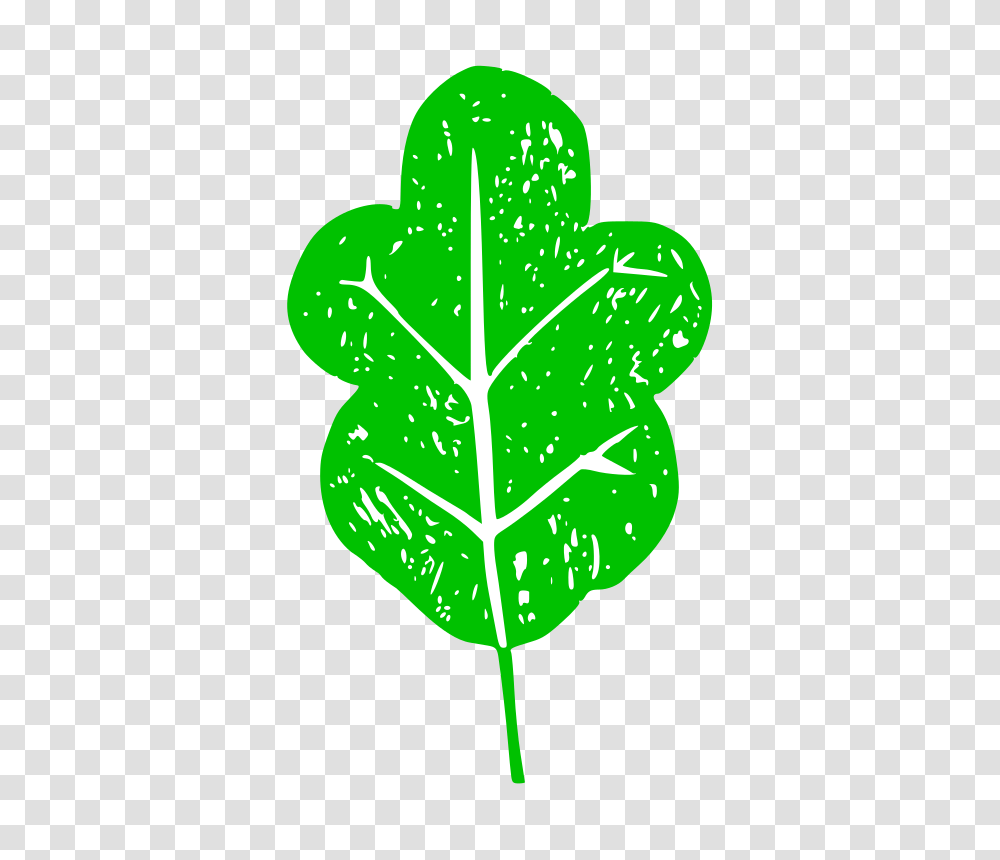 Clipart, Leaf, Plant, Light, Veins Transparent Png