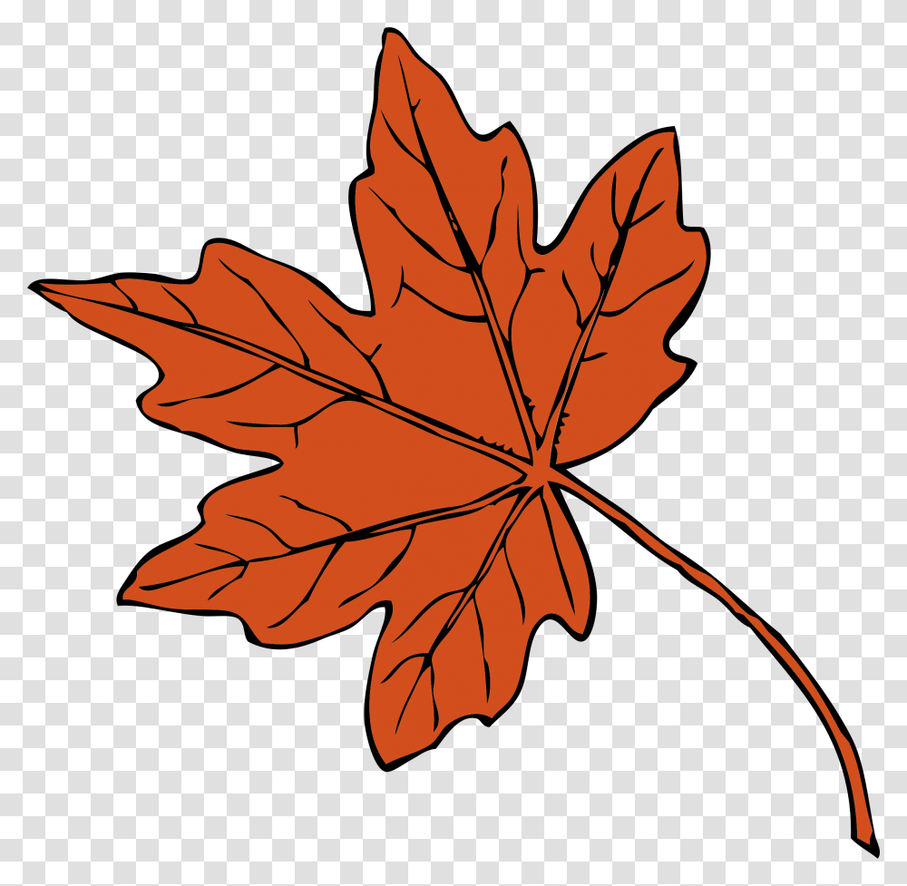 Clipart, Leaf, Plant, Maple Leaf, Tree Transparent Png