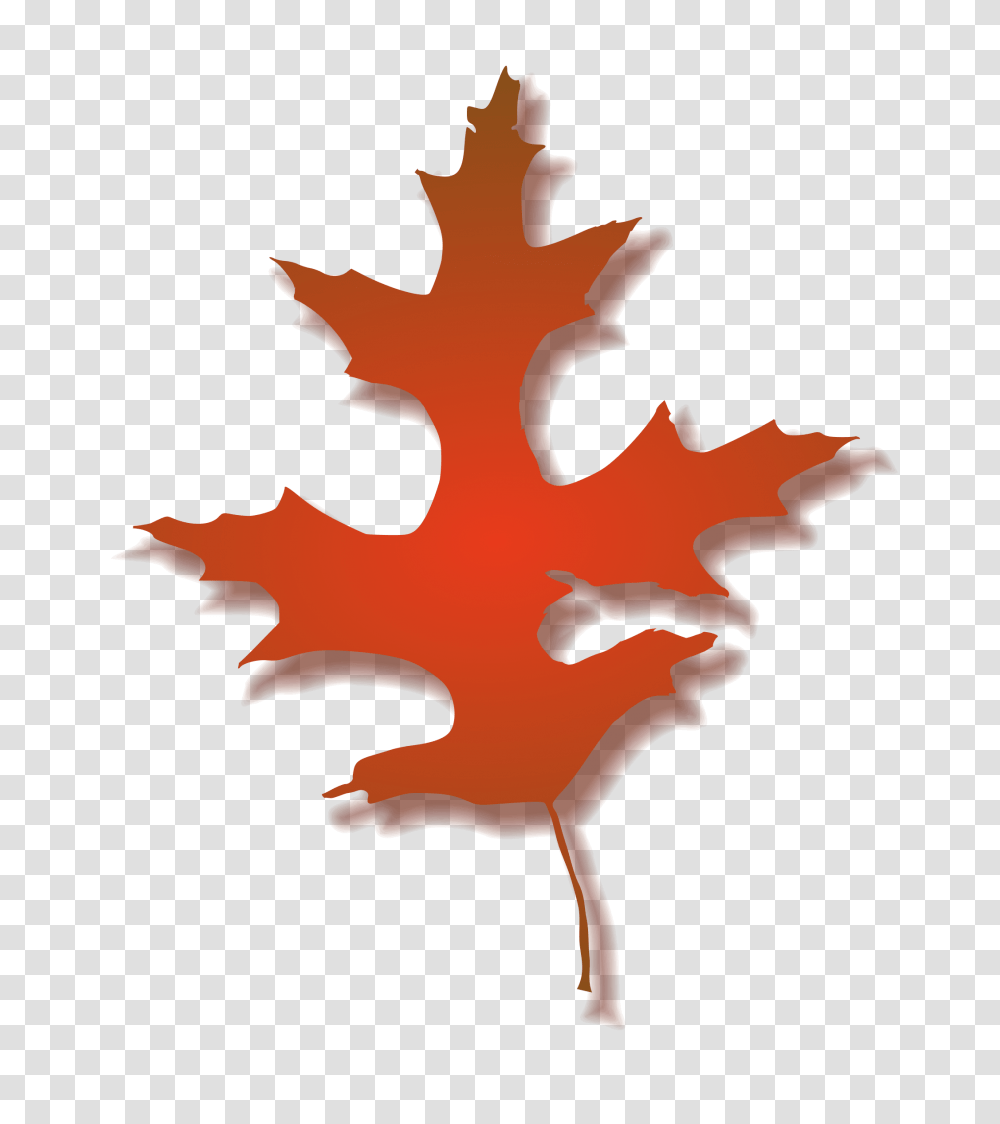 Clipart, Leaf, Plant, Tree, Maple Transparent Png