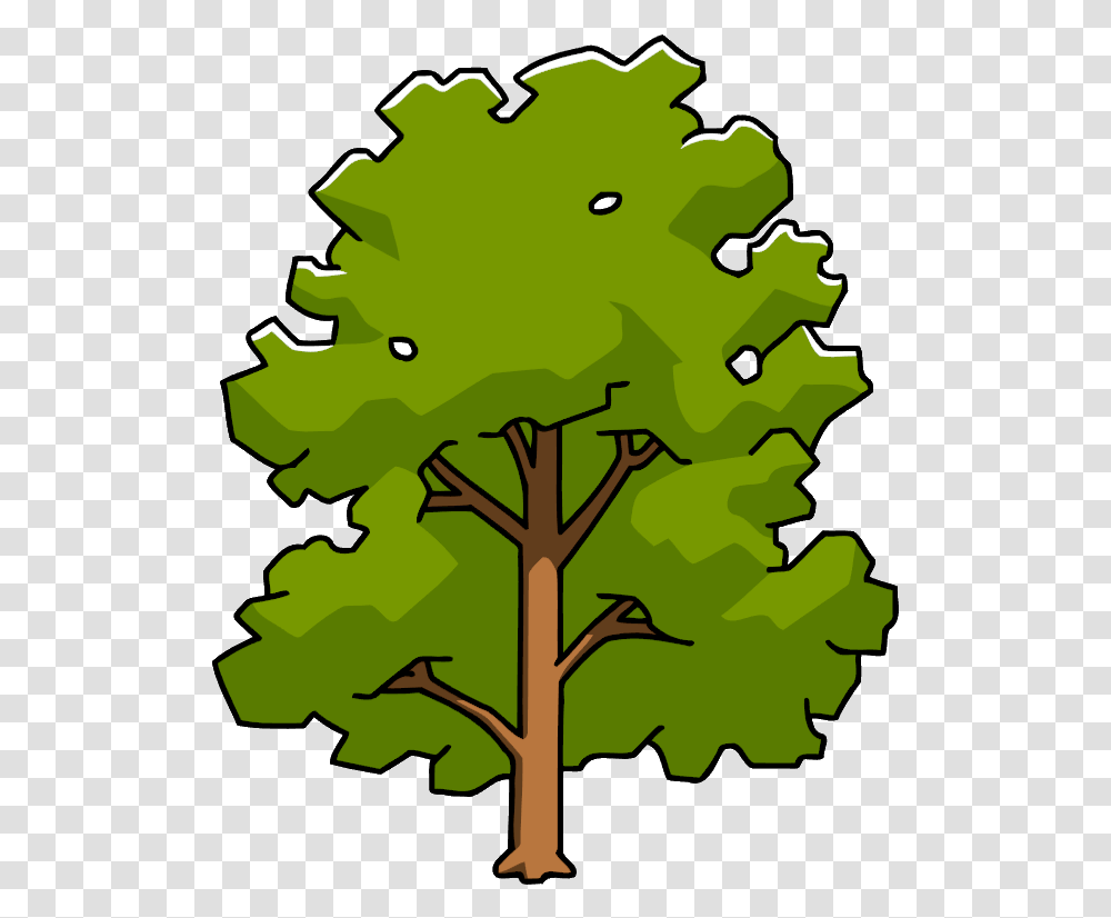 Clipart Leaf Sycamore Tree Sycamore Tree Clipart, Plant, Maple, Oak, Bird Transparent Png