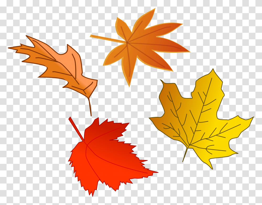 Clipart Leafs Falling Leaf Clipart, Plant, Tree, Maple Leaf Transparent Png