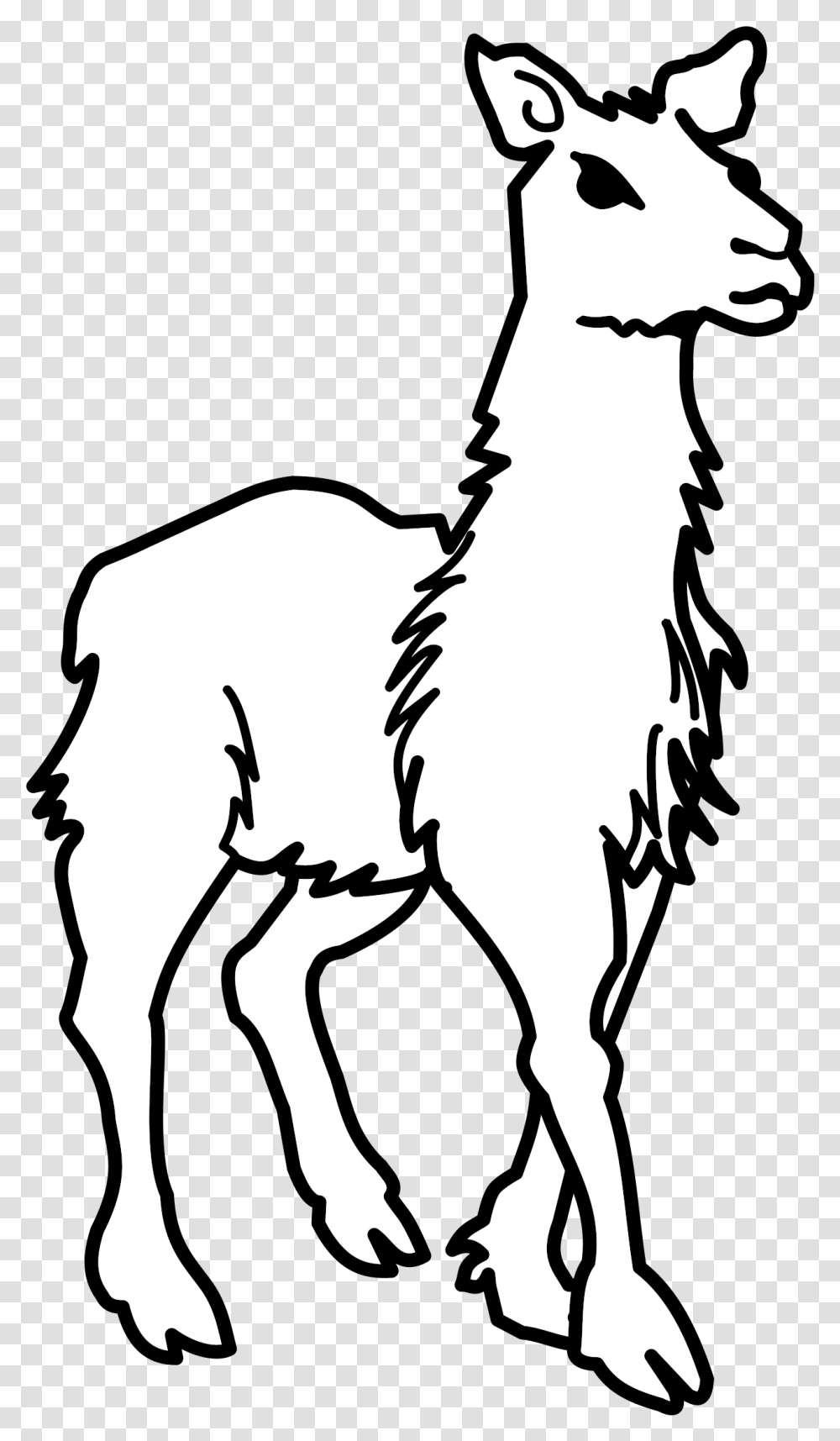 Clipart Llama Lineart Llama Black And White, Stencil, Silhouette, Mammal, Animal Transparent Png