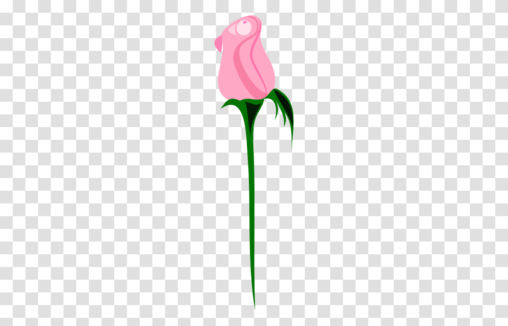 Clipart Long Stem Roses Clip Art Images, Plant, Flower, Vegetable, Food Transparent Png