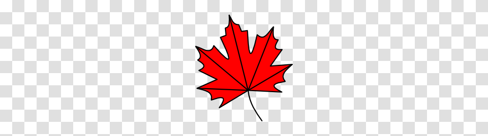 Clipart Maple Leaf, Plant, Tree Transparent Png