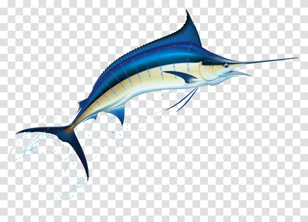 Clipart Marlin, Swordfish, Sea Life, Animal Transparent Png