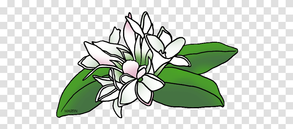 Clipart May Flower, Floral Design, Pattern, Plant Transparent Png