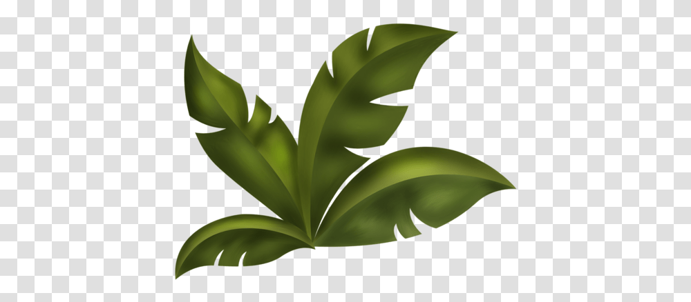 Clipart Mix, Plant, Leaf, Green, Vase Transparent Png