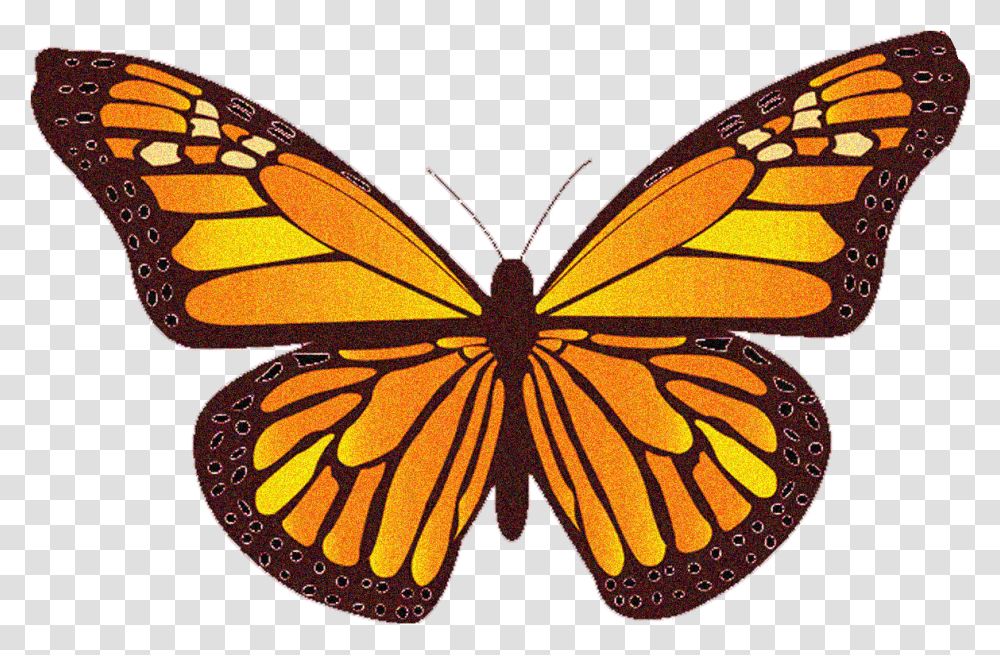 Clipart Monarch Butterfly, Insect, Invertebrate, Animal, Chandelier Transparent Png