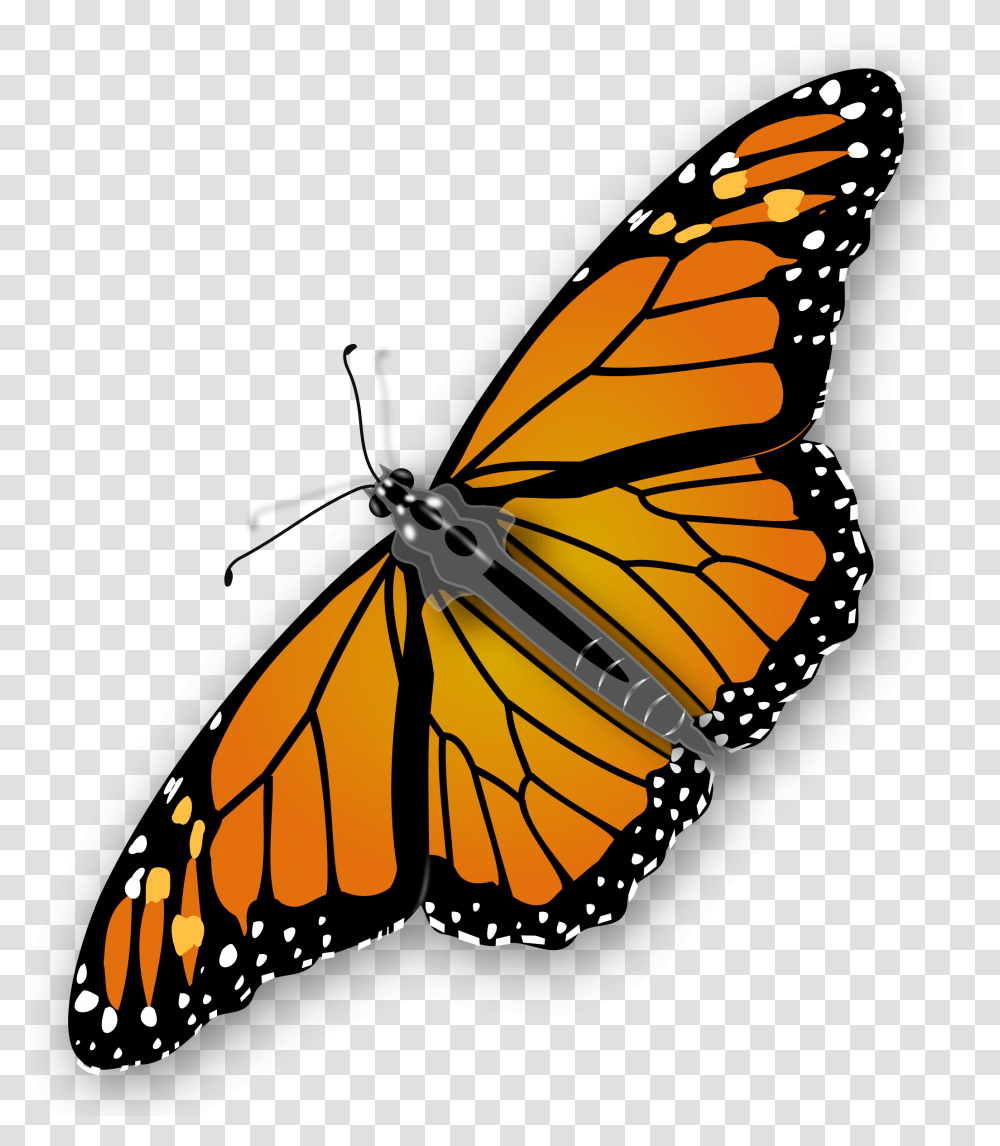 Clipart, Monarch, Butterfly, Insect, Invertebrate Transparent Png