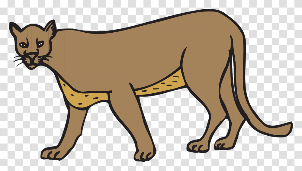 Clipart Of A Cougar, Wildlife, Animal, Mammal, Aardvark Transparent Png