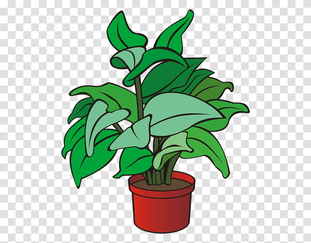 Clipart Of A Plant, Leaf, Green, Flower, Blossom Transparent Png