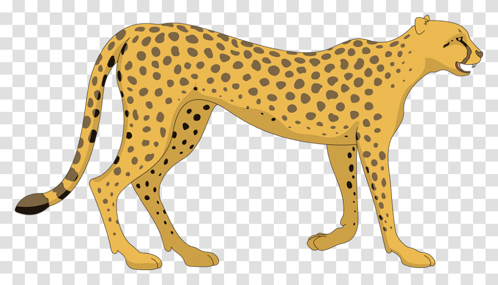Clipart Of Animals Cheetah Clipart, Wildlife, Mammal, Dinosaur, Reptile Transparent Png
